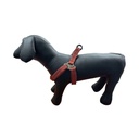 ARNES PARA PERRO VARIOS COLORES  50-70 CM "BONITA PET"