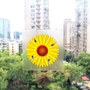 TRAMPA PARA MOSCAS FLORECITAS ADORNO 9.4 X 9.4 CMS 