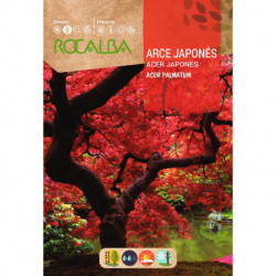 SEMILLA ARCE JAPONÉS ROCALBA 6 GR