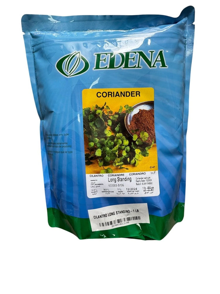 SEMILLA CILANTRO EDENA x 1 LIBRA