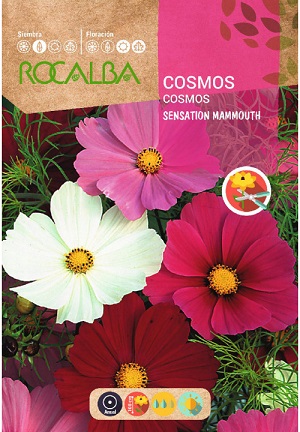 SEMILLA COSMOS ROCALBA 10G