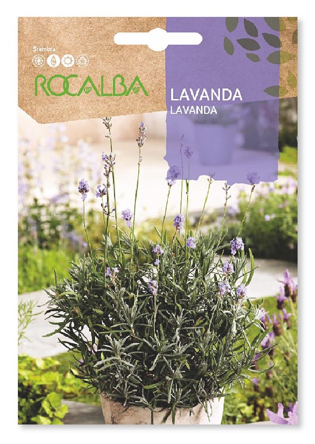 SEMILLA LAVANDA ROCALBA 1 GR