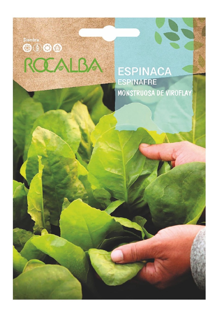 SEMILLA ESPINACA ROCALBA 10 GR