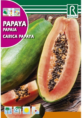SEMILLA PAPAYA CARICA ROCALBA 5 GRS