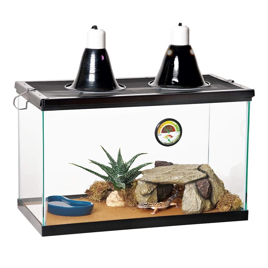 TERRARIO DESERT STARTER KIT ZILLA