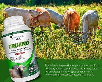 DESPARASITANTE ORAL TRUENO x 1 LITRO