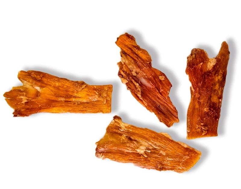 YUMMIE PETS TENDON DE RES