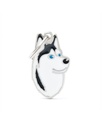 MY FAMILY TAG FRIENDS SIBERIAN HUSKY