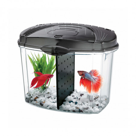 ACUARIO PARA BETTA KIL 0.5 GALONES