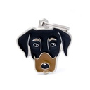 MY FAMILY TAG FRIENDS DOBERMANN