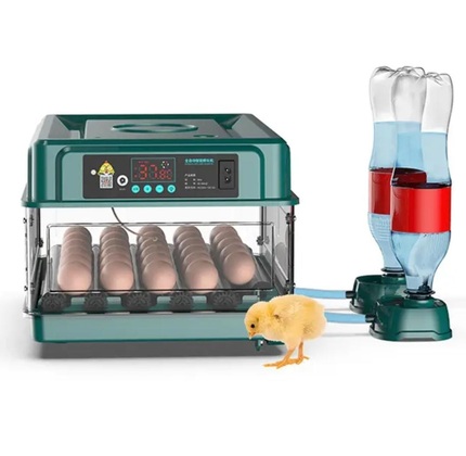 INCUBADORA DE HUEVOS AUTOMATICA DE 24 HUEVOS CON VOLTEO AUTOMATICO