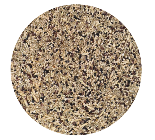 ALIMENTO PARA AVES CANARIO x 1 LIBRA