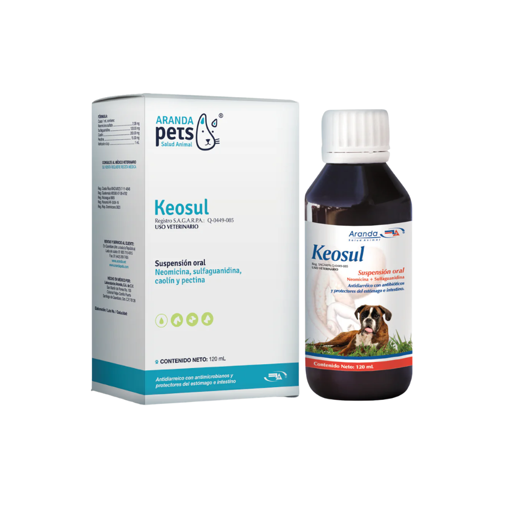 ANTIDIARREICO KEOSUL 120ML