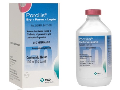 VACUNA PORCILIS ERY + PARVO + LEPTO