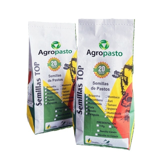 SEMILLA DE PASTO TRATADA DE BRIZANTHA x 1 KG