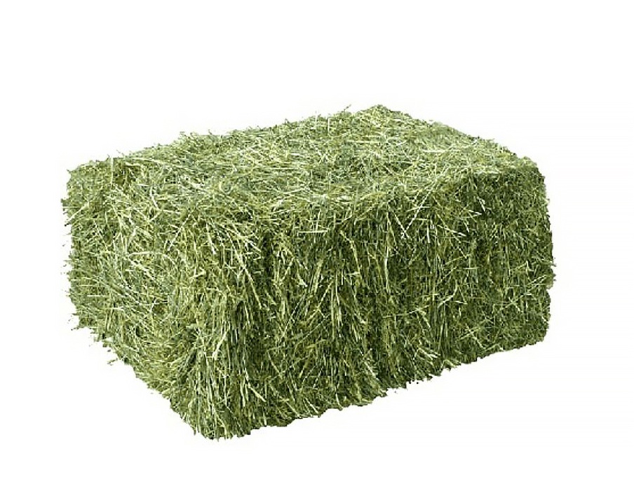 PACA DE HENO DE ALFALFA 