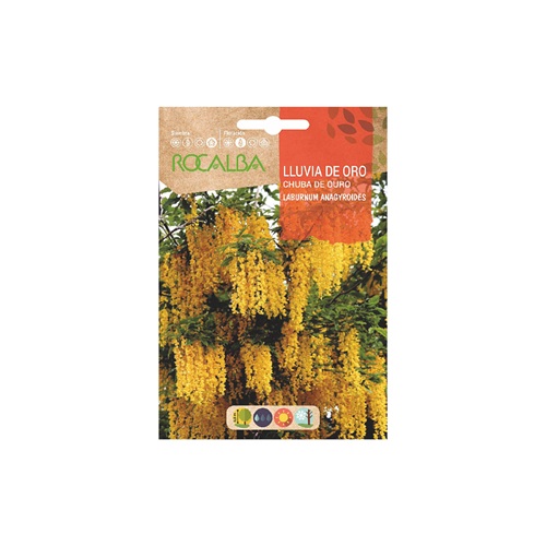 SEMILLA LLUVIA DE ORO ROCALBA 