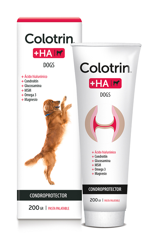 COLOTRIN +HA GLUCOSAMINA PASTA PALATABLE