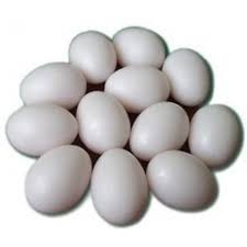 HUEVO PLASTICO DE GALLINA