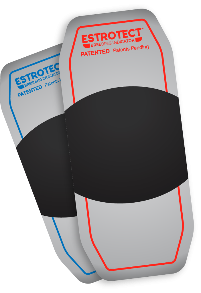 PARCHES PARA DETECTAR CELO