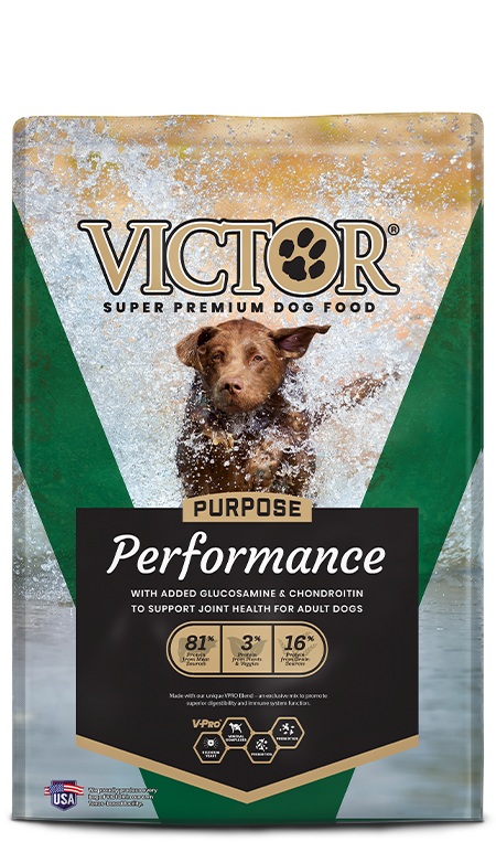 CONCENTRADO PARA PERRO VICTOR PERFORMANCE 40 LIBRAS