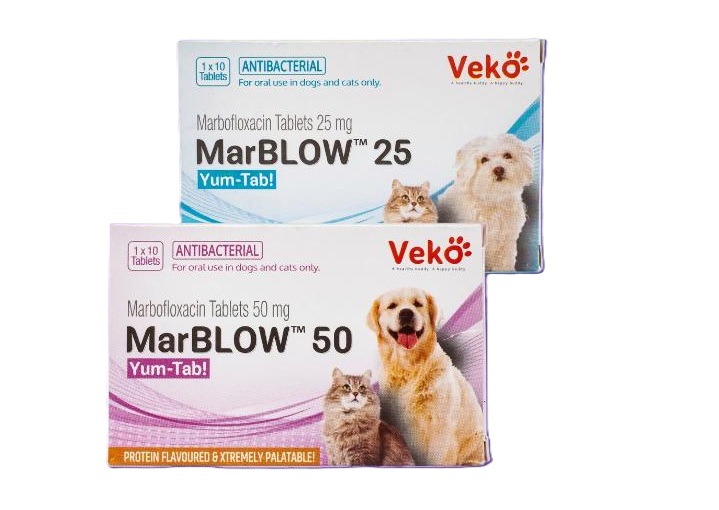 ANTIBIOTICO MARBOFLOXACINA MARBLOW x 10 TABS