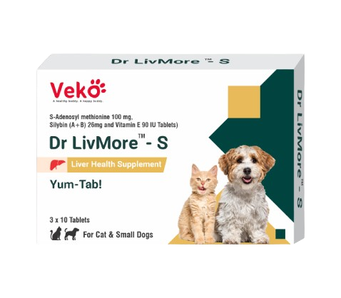 HEPATO PROTECTOR DR LIVE MORE x 30 TABS 