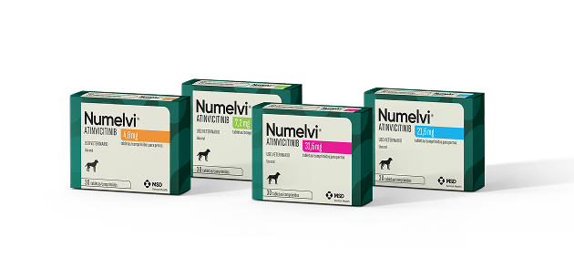 NUMELVI x 1 TABLETA