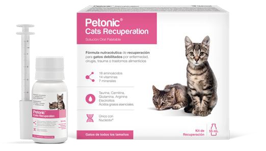 PETONIC CATS RECUPERATION x 55 ML