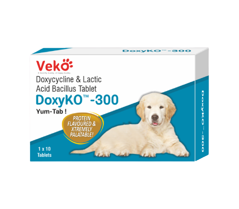 DOXYCO DOXICICLINA 300 MG