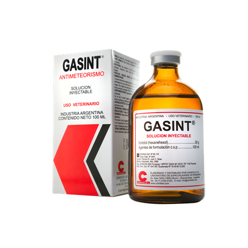 GASINT x 100 ml