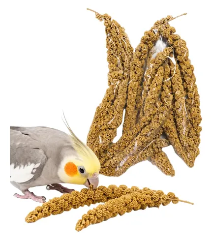 MIJO EN RAMA MILLET