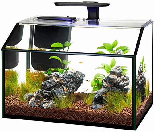 ACUARIO KIT LED PARA CAMARONES 8.75 GALONES