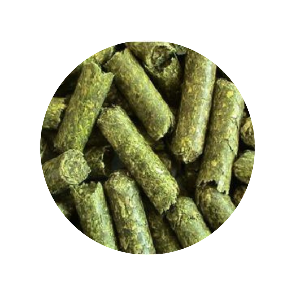 ALFALFA PELETIZADA SACO 64 LBS