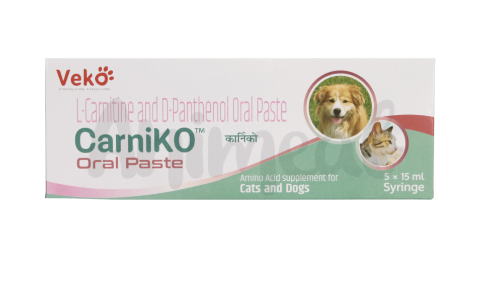 CARNIKO PASTA ORAL EN JERINGA 15 ML