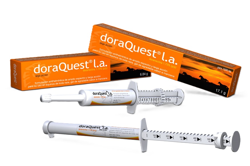 DESPARASITANTE EQUINO PASTA ORAL DORAQUEST L.A. 6.84 GR