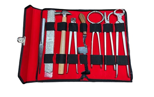 KIT PROFESIONAL PARA HERRAR CABALLOS