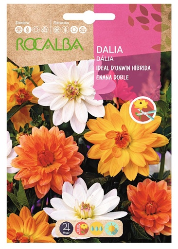 SEMILLA DALIA ROCALBA 2 GR