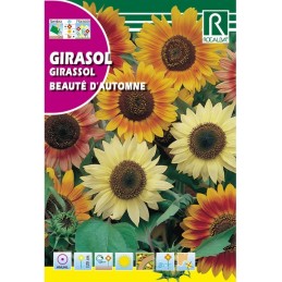 SEMILLA DE GIRASOL BEAUTÉ D'AUTOMNE ROCALBA 10 GRS