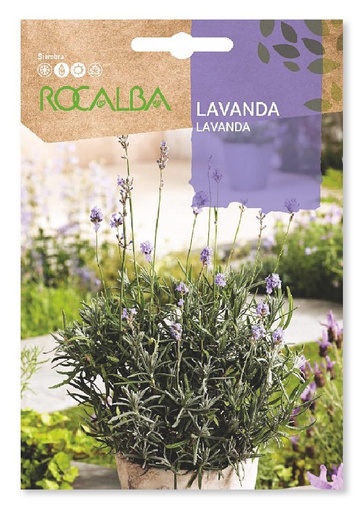 SEMILLA LAVANDA ROCALBA 1 GR