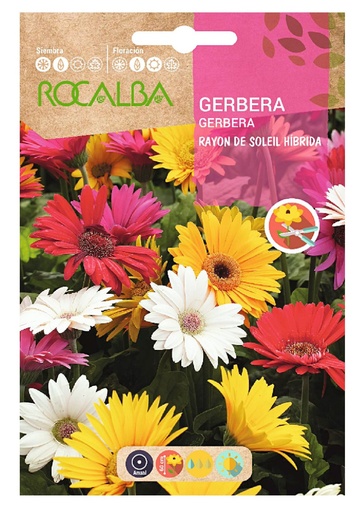 SEMILLA GERBERA RAYON DE SOLEIL HIBRIDA ROCALBA 1 GR