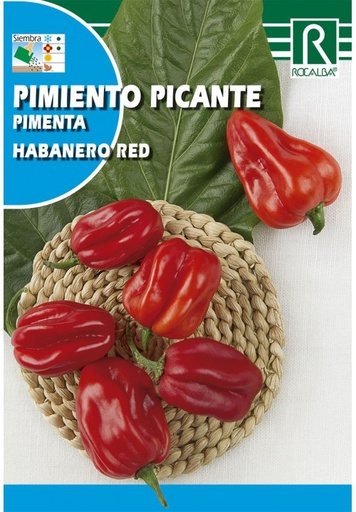 SEMILLA PIMIENTO PICANTE HABANERO RED ROCALBA