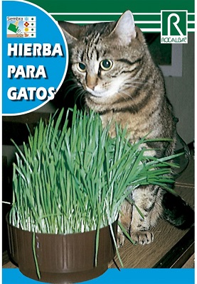 SEMILLA HIERBA PARA GATOS ROCALBA 10 GRS