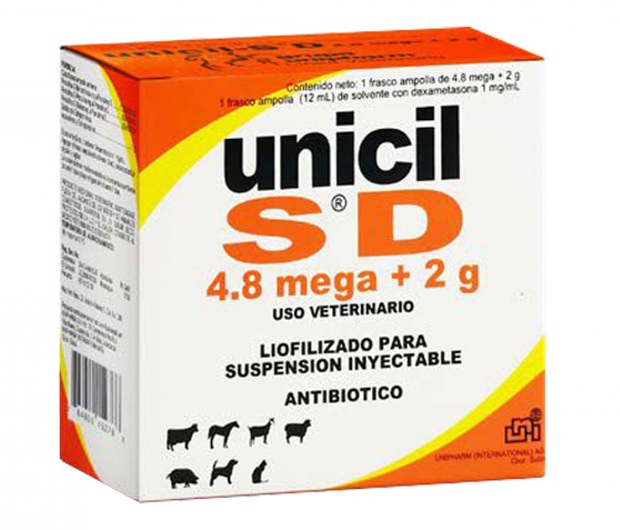 UNICIL SD 4.8 MEGA + 2G | El Rejo Web