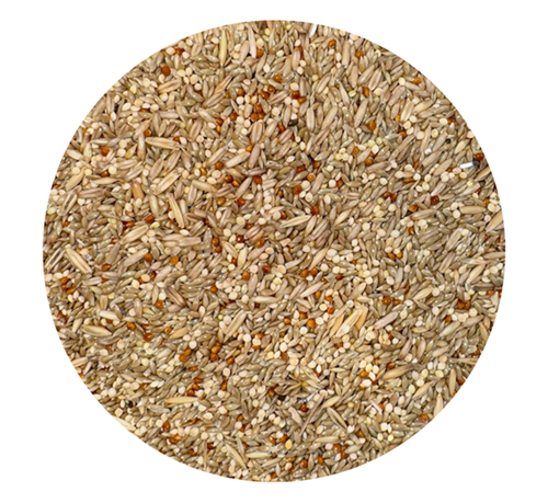 ALIMENTO PARA PERICOS AUSTRALIANOS x 1 LIBRA