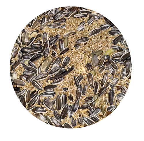 ALIMENTO PARA COCOTILO x 1 LIBRA
