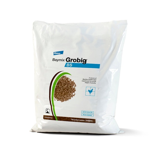 BAYMIX GROBIG BS 5 KG