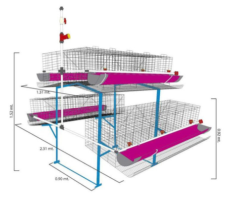 MODULO PIRAMIDAL DE 2 NIVELES PARA GALLINAS DE POSTURA 20 NIDOS