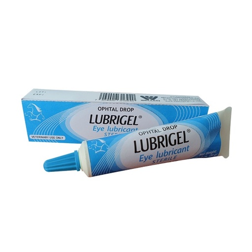 [10207] GEL OFTALMICO LUBRIGEL CARBOMER 0.2%