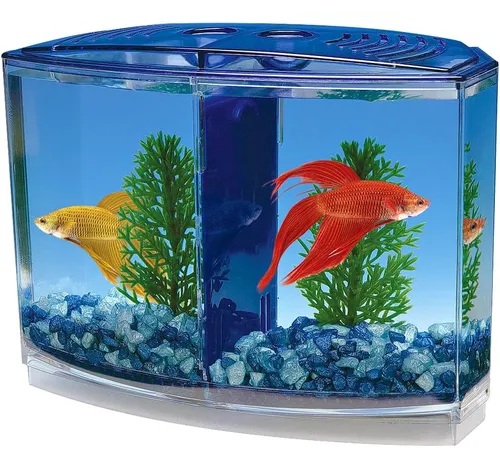 [K4] PECERA PARA PECES BETTA CON DOS DIVISIONES
